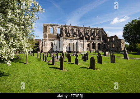 Malmesbury Abbey, Malmesbury, Wiltshire, England, United Kingdom, Europe Stock Photo