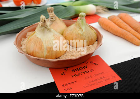 Exhibits on show at Bilsdale agricultural show in North Yorkshire, England Uk Stock Photo