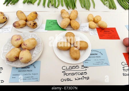 Exhibits on show at Bilsdale agricultural show in North Yorkshire, England Uk Stock Photo