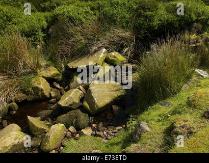Large Angular Rocks River Sunny view large angular rocks impeding water flow in upland stream ...