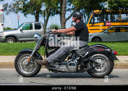 Harley Davidson Rider Stock Photo