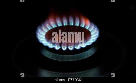 The flame of a gas cooker, 28 August 2014 in Hamburg. Stock Photo