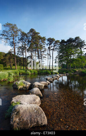 Stepping stones crossing the West Dart River. Dartmoor National Park. Devon. UK. Stock Photo