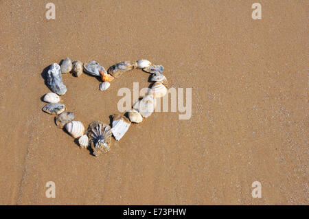 Heart made of shells on beach sand Stock Photo