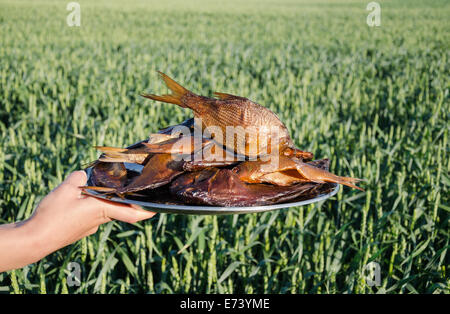 female hand holds plate with smoked fish rudd (Scardinius erythrophthalmus ) Stock Photo