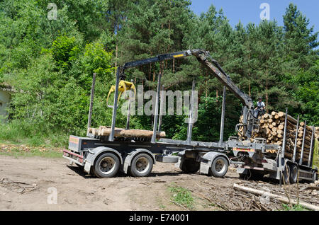 Worker man load felled tree logs with timber crane to heavy truck trailer for transportation. Forestry industry. Stock Photo