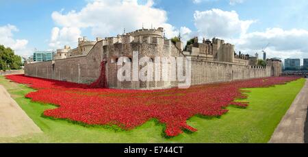 The Tower of London surrounded by ceramic poppies by artist Paul Cummins Stock Photo