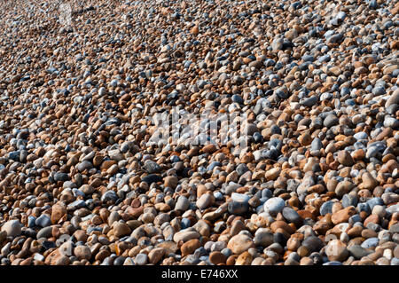 Bank of shingle at Hastings, East Sussex Stock Photo