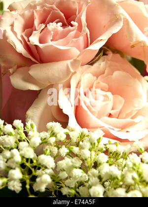 rose bouquet Stock Photo