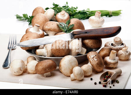 Button or Champignon and Portabello mushrooms in old metal plate with knife, fork, parsley and mixed pepper beans. On a white ta Stock Photo