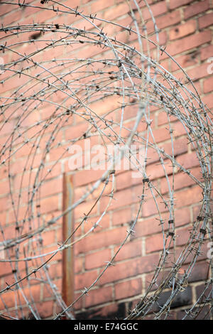 barb wire with red brick wall in background Stock Photo - Alamy