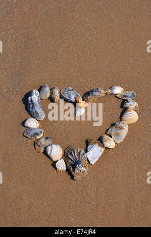 Heart made of shells on beach sand Stock Photo