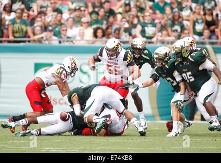 City, Florida, US. 6th Sep, 2014.The Maryland Terrapins offense fumbles the ball on first down against the South Florida defense ate in the first quarter at Raymond James Stadium in Tampa on Saturday, September 6, 2014. South Florida is leading 17 to 14 at halftime. Credit:  Octavio Jones/Tampa Bay Times/ZUMA Wire/Alamy Live News Stock Photo