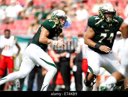 City, Florida, US. 6th Sep, 2014.South Florida Bulls quarterback Steven ...