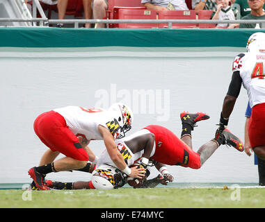 City, Florida, US. 6th Sep, 2014.Maryland Terrapins linebacker Avery Thompson (37) recovers the block punt for a touchdown against the South Florida during the third quarter at Raymond James Stadium in Tampa on Saturday, September 6, 2014. Maryland defeated South Florida 24 to 17. Credit:  Octavio Jones/Tampa Bay Times/ZUMA Wire/Alamy Live News Stock Photo