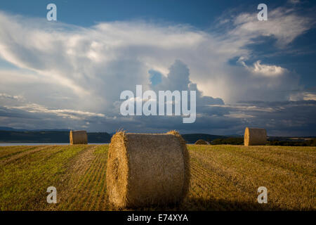 Evening sunlight on bales of hay near Inverness, the Highlands, Scotland Stock Photo