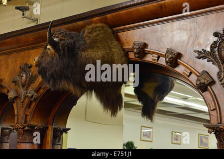 A genuine American wild west bar circa 1852 taken from an old building that was knocked down for redevelopment. Stock Photo