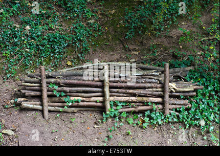 Log pile used as insect & small mammal habitat on Old Railway Footpath Hay-on-Wye Powys Wales UK Stock Photo