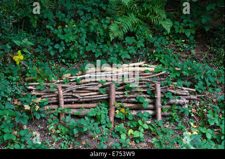 Log pile used as insect & small mammal habitat on Old Railway Footpath Hay-on-Wye Powys Wales UK Stock Photo