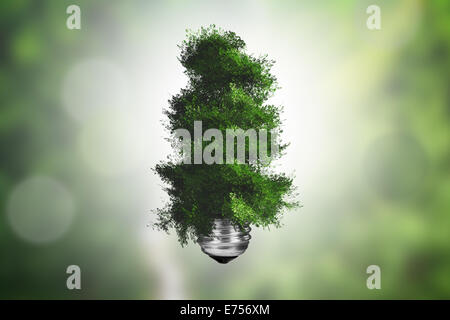 Ecology concept, light bulb with green tree growing on green blurry background. Stock Photo