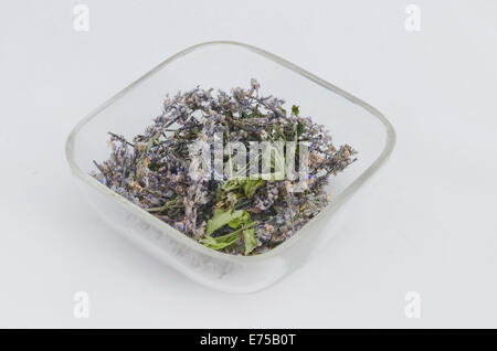 Ecological medicative dry herb flower - peppermint (Mentha piperita) on the glass plate Stock Photo