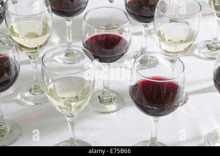 An array of wine glasses filled with different wines.