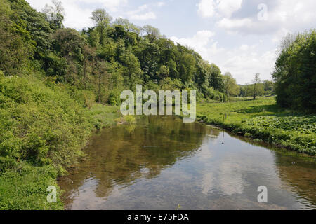 The River Lathkill in Derbyshire Peak District, National Park, England, UK English river, Lathkill dale, scenic countryside Stock Photo