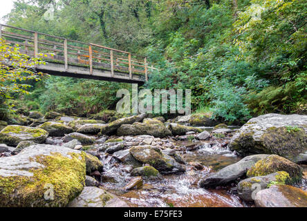 Watersmeet river gorge in North Devon UK Stock Photo