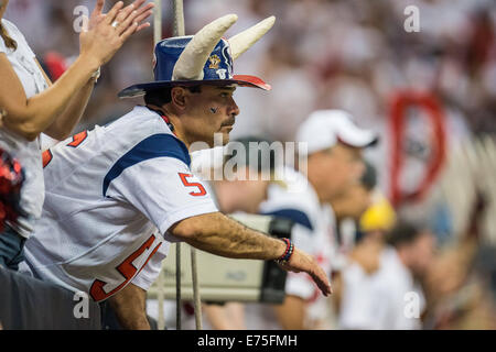 Houston, Texas, USA. 7th Sep, 2014. A Houston Texans fan during the 2nd half of an NFL game between the Houston Texans and the Washington Redskins at NRG Stadium in Houston, TX on September 7th, 2014. Credit:  Trask Smith/ZUMA Wire/Alamy Live News Stock Photo