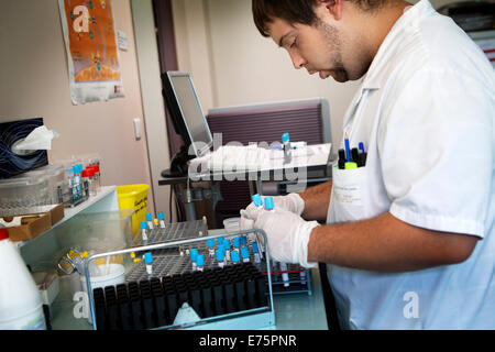 Biomedical Testing Lab Biomedical technician testing blood sample at laboratory Stock Photo ...