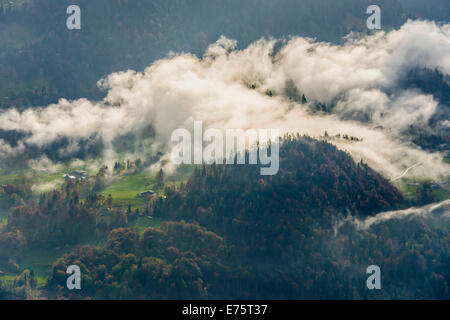 Meadows and a forest with clouds, Beatenberg, Bernese Oberland, Canton Bern, Switzerland Stock Photo