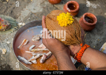 A man is holding a coconut during the ritual Dashkriya or Asthi Stock ...