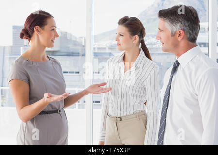Businesswoman talking with her co-workers Stock Photo
