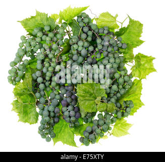 The sphere - ball -is made of young green sweet grapes. Isolated Stock Photo