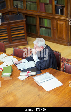Judge doing research in courthouse Stock Photo