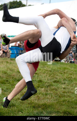 Traditional Cumberland Wrestling at the Wolsingham village show in the north of England. Stock Photo