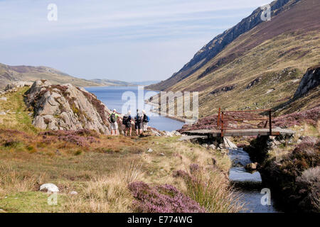 Walkers looking north to Llyn Cowlyd Reservoir below Creigiau Gleision in Carneddau in Snowdonia National Park North Wales UK Stock Photo