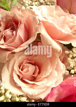 rose bouquet Stock Photo