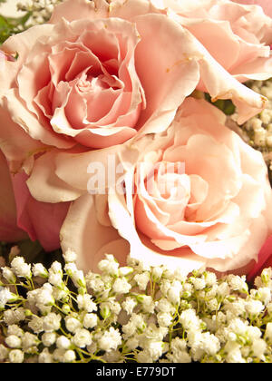 rose bouquet Stock Photo