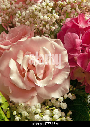 rose bouquet Stock Photo