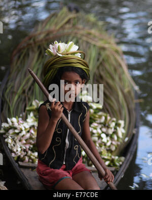 Dhaka, Bangladesh. 8th Sep, 2014. A child collects water lilies from a lake in Norshingdi in the outskirts of Dhaka. The livelihood of some wetland farmers is based on farming the water lily, the national flower of Bangladesh, which they do for about six to seven months a year. Local farmers take their little boats to fetch water lilies and sell them at the market. © Zakir Hossain Chowdhury/ZUMA Wire/Alamy Live News Stock Photo