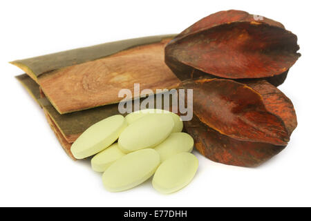 Medicinal Terminalia arjuna with pills over white background Stock Photo