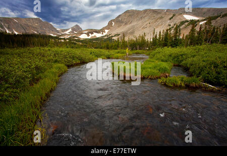 Fly fisherman in mountain stream near Boulder, Colorado, USA Stock Photo