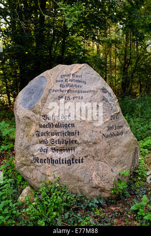 Memorial stone to Hanns Carl v. Carlowitz near Klein Behnitz, Brandenburg, Germany Stock Photo