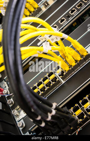 Ethernet cables plugged into a high end router machine at a computer data center supporting cloud computing Stock Photo