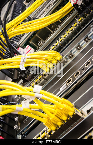 Yellow ethernet cables plugged into a high end router machine at a computer data center Stock Photo