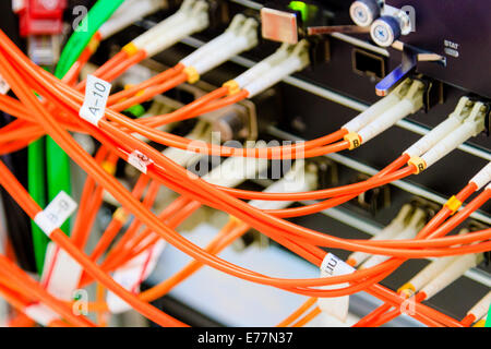 Fiber cables plugged into a high end router machine at a computer data center supporting cloud computing Stock Photo