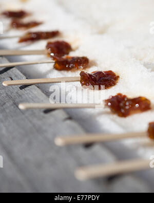 Taffy on snow Maple Taffy Maple taffy on a stick Stock Photo