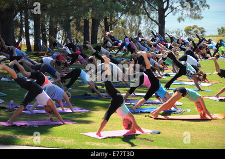 Daily free outdoor exercise and yoga classes at Lantern Bay Park in Dana Point, California Stock Photo