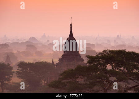 Temples in the morning mist, stupas and pagodas in the temple complex of the Plateau of Bagan, Mandalay Division Stock Photo